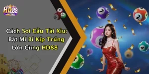 Cách Soi Cầu Tài Xỉu: Bật Mí Bí Kíp Trúng Lớn Cùng HD88