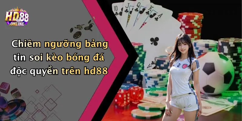 Chiêm ngưỡng bảng tin soi kèo bóng đá độc quyền trên hd88